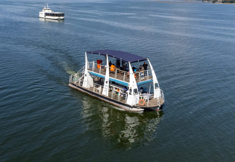 1 Hour Scenic Cruise , daily cruises , one hour scenic cruise