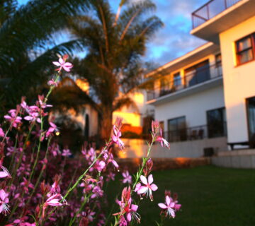 La Dolce Vita Guesthouse