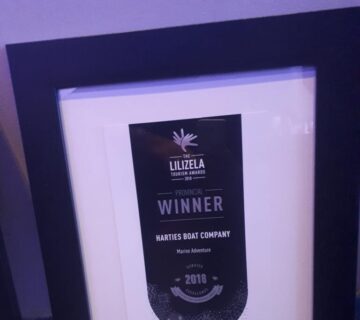 Lillizella-Award-2018-HBC-2-768x1024